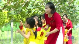 Hưng Yên phát triển mô hình du lịch canh nông