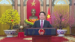 Lời chúc Tết Bính Ngọ 2026 của Chủ tịch nước Lương Cường