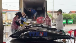 Chống khai thác IUU từ nhận thức của ngư dân