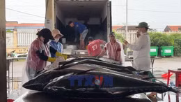 Chống khai thác IUU từ nhận thức của ngư dân