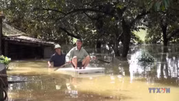 Tình hình thiệt hại do mưa lũ (tính đến hết ngày 8/10)