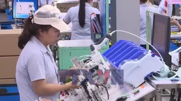 Kinh tế số - Chìa khóa giúp doanh nghiệp phát triển bền vững