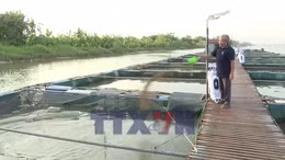 Phát triển bền vững nghề nuôi cá lồng trên sông Hồng