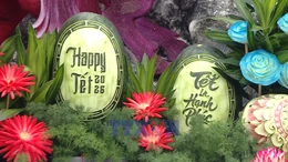 Happy Tết 2026 - Lan tỏa hồn Tết Việt