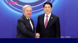 Thời sự 24h qua ảnh sáng 25/10