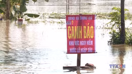 43 sự cố đê điều đang uy hiếp an toàn chống lũ