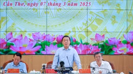 Chủ động điều hành sản xuất, tiêu thụ lúa gạo