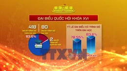 Kỳ vọng nhiệm kỳ Quốc hội đột phá, hành động