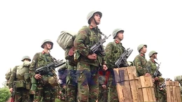 Bảo vệ bình yên cho nhân dân vui Tết, đón xuân