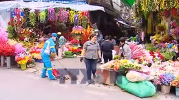 Phố phường sạch đẹp, Tết thêm vui