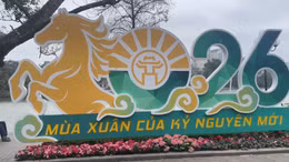 Những không gian tràn ngập hình ảnh ngựa trong năm mới