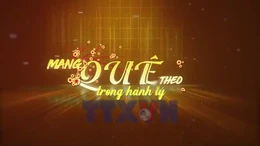 Mang quê theo trong hành lý