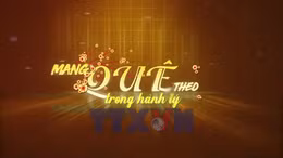 Mang quê theo trong hành lý