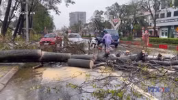 Cập nhật thiệt hại do cơn bão số 10