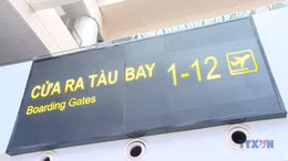 Ba sân bay Vân Đồn, Cát Bi và Nội Bài chịu ảnh hưởng trực tiếp bởi bão số 11