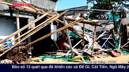 Thời sự 24h qua ảnh chiều 7/11 