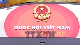 Từ Tổng tuyển cử đầu tiên tới khát vọng vươn mình