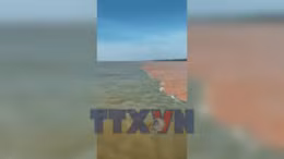 Lý giải nước biển có hai màu kỳ lạ ở Cà Mau