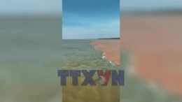 Lý giải nước biển có hai màu kỳ lạ ở Cà Mau