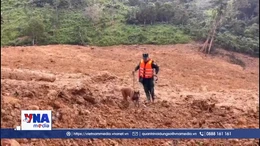 Huy động cảnh khuyển tìm kiếm các nạn nhân nghi mất tích do sạt lở 