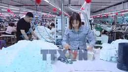 Nỗ lực duy trì sản xuất và ổn định việc làm