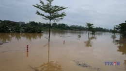 Hà Nội báo động lũ trên nhiều sông