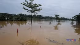 Hà Nội báo động lũ trên nhiều sông