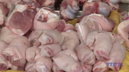 Dấu hiệu nhận biết thịt lợn bệnh