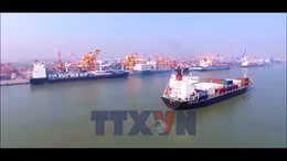 Những nền tảng kinh tế then chốt