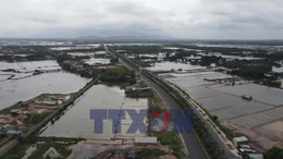 Đẩy nhanh tiến độ dự án đường ven biển Vũng Tàu - Bình Thuận