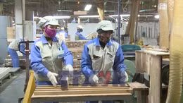 Cải thiện môi trường kinh doanh: 'Mệnh lệnh' từ thực tiễn tăng trưởng