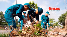 Đoàn viên, thanh niên TP Hồ Chí Minh tham gia 'Ngày Chủ nhật xanh' 