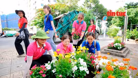 Thanh niên TP Hồ Chí Minh trang hoàng lại các khu dân cư