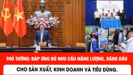 Thực hiện các biện pháp căn cơ để ổn định thị trường xăng dầu và chống khai thác hải sản bất hợp pháp