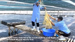 Khoa học, đổi mới sáng tạo là nền tảng phát triển ngành thủy sản bền vững