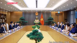Thời sự 24h qua ảnh chiều 12/8