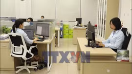 Hải Phòng hoàn thuế thu nhập cá nhân tự động
