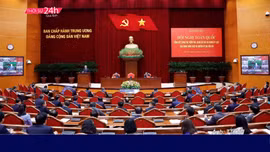Thời sự 24h qua ảnh chiều 24/11