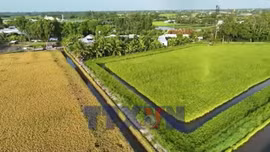 Net Zero - Ngành Nông nghiệp tái cấu trúc ngành hàng theo hướng xanh