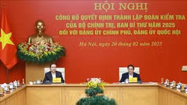 Thành lập Đoàn kiểm tra đối với Đảng ủy Chính phủ, Đảng ủy Quốc hội