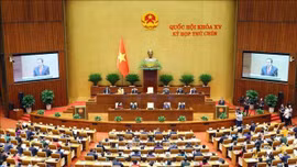 Đại biểu Quốc hội kỳ vọng lớn vào kỳ họp lịch sử - đột phá về thể chế 