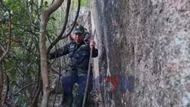 Bền bỉ giữa đại ngàn, tìm đưa liệt sĩ về với đất mẹ