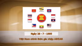 Khoảnh khắc và Sự kiện ngày 28/7 