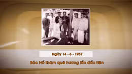 Khoảnh khắc & sự kiện ngày 14/6
