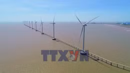 Đề xuất xác định giá điện mặt trời theo từng tỉnh, thành