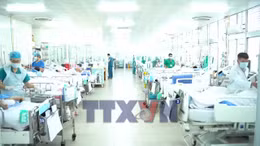 Sức khoẻ nạn nhân vụ lật ca nô tại Phú Quốc đang chuyển biến tích cực