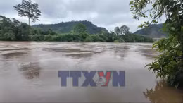 Tân Quang không để lũ về mới ứng phó