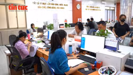TP Hồ Chí Minh giữ nguồn nhân lực chất lượng cho chính quyền cơ sở
