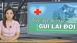 Tin tức TV: Để sự sống gửi lại đời