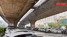 Bài toán cho giao thông tĩnh ở đô thị